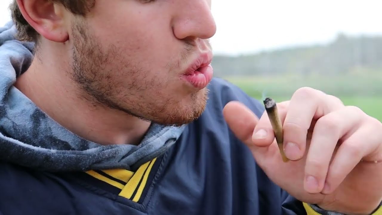 Hudson Valley Cannabis