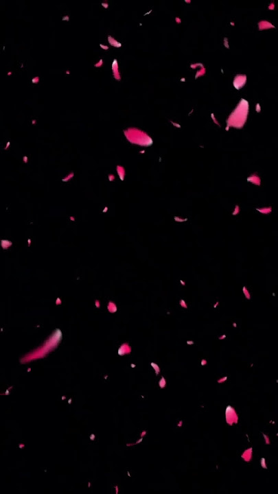 Rose Petals video effects for editing #explore #alightmotion #trending #kinemaster