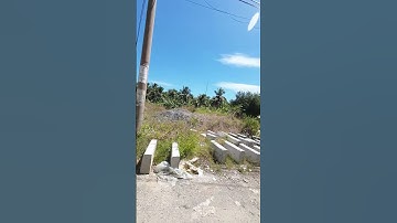 Điểm cuối cầu Rạch Miễu 2 ở đâu ? | MAI TIỀN GIANG #short #1821