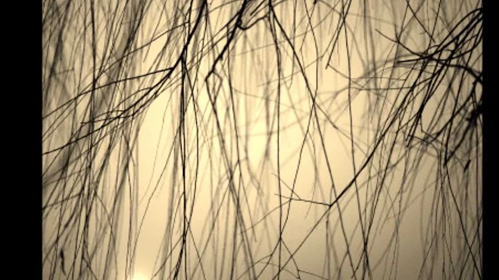 Jason Eagan- Walk Away-1994.wmv
