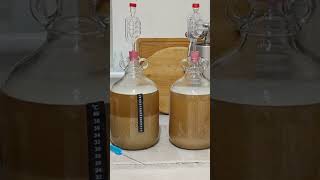 09. Timelapse (IPA Recipe) 09. Timelapse (IPA Recipe)