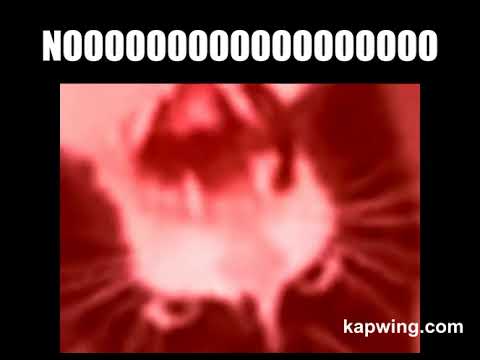 cat-meowing-meme-(warning-dont-wear-headphones-very-loud-sound)
