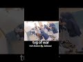 Tug of War Game | Sports Games for Kids | Sports Gala | Art Videos | Playing | Kids Garden Schools
