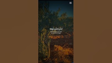 قرآن كريم ـــــ القارئ -عبد الرحمن مسعد ـ أكتب شيء تؤجر عليه 🤍❤