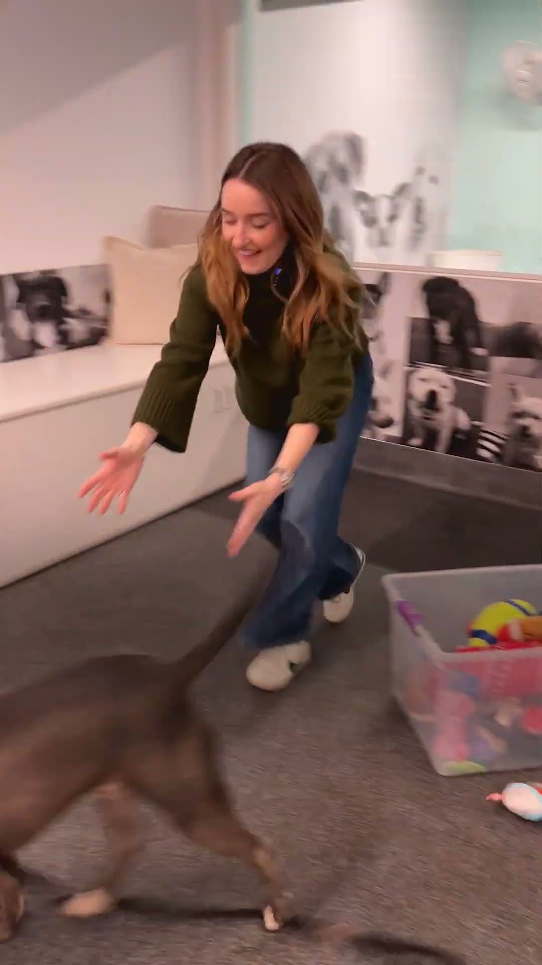 Kaitlyn Dever's Dream Date Runs Away From Her | The Dodo
