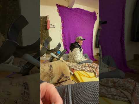 Пусти в норку