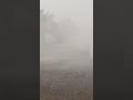 عاصفه رهيبه طيمسا ولاية نزوى عبدالعزيز الرواحي عاصفه رهيبه طيمسا ولاية نزوى عبدالعزيز الرواحي