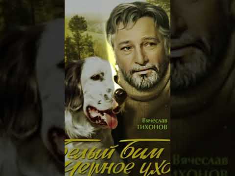 Фильм Белый Бим Черное Ухо