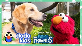 Elmo Helps The Most Energetic Shelter Dog Find Perfect Forever Family With Dodo Kids + Sesame Street