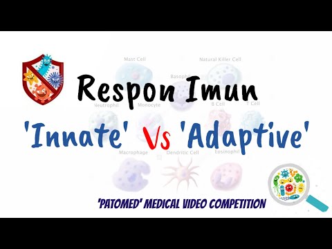 Respon Imun &rsquo;Innate & Adaptive&rsquo; | &rsquo;Patomed&rsquo; Medical Video Competition 2020