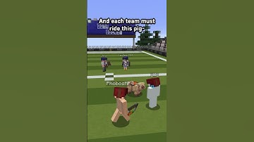 I Invented ANOTHER Minecraft Minigame | Pigskin