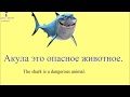 № 29 Учим русский : ЖИВОТНЫЕ : домашние и дикие
