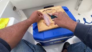 ASMR Catch &amp; Cook CEVICHE #fishing #ceviche
