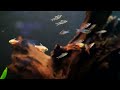 Middle of video