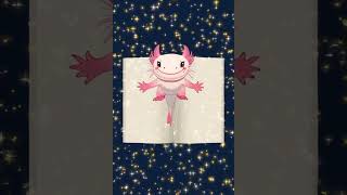 100 Facts About Axolotls