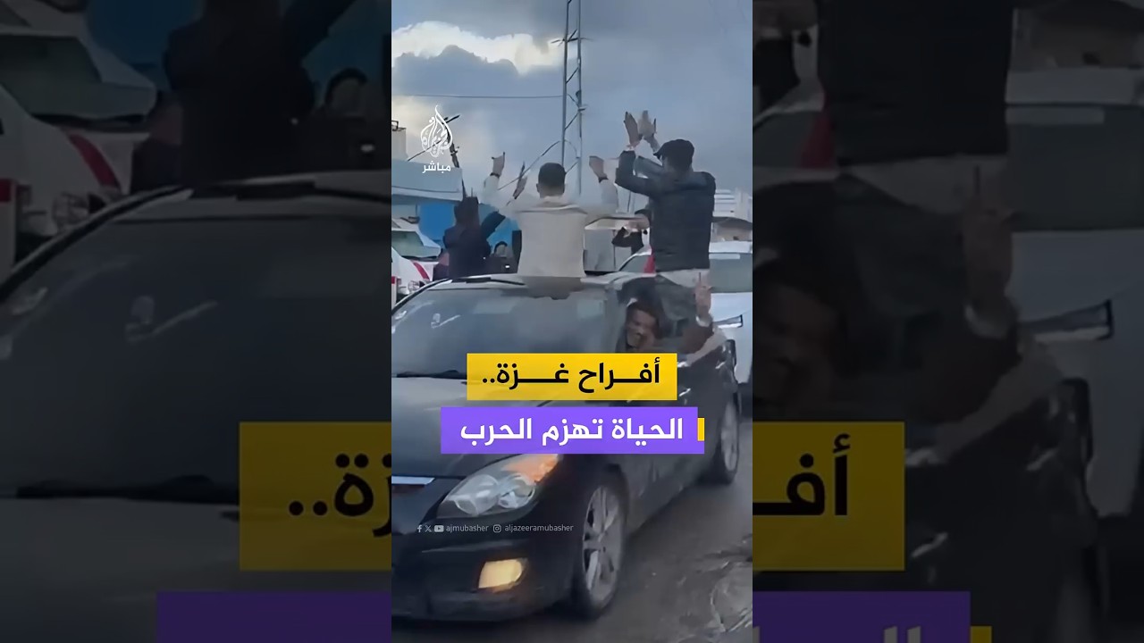 أفراح غزة الحياة تهزم الحرب