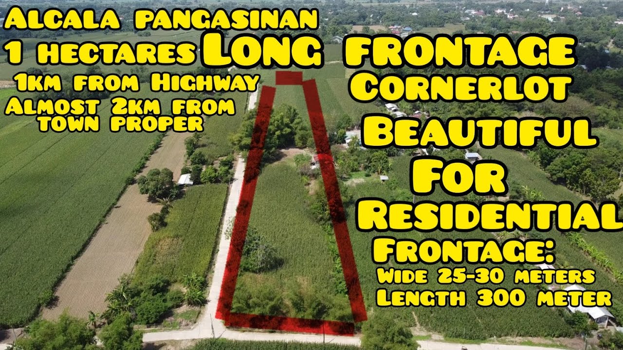 vlog 285 RESIDENTIAL FARMLOT GOOD FOR SUBDIVIDE LOT.ALCALA PANGASINAN