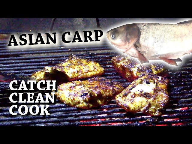 Catch and Cook Carp - How to cook carp - carp fishing tips & carp recipe. 