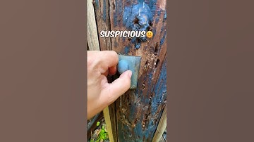 Have you found a nano cache hidden in a container like this before?! 🔍