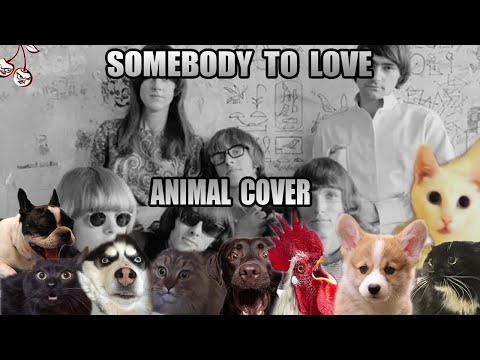 Jefferson Airplane - Somebody To Love (Animal Cover)