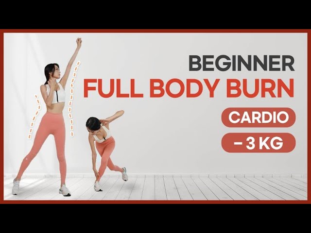 10 MIN STANDING FULL BODY CARDIO WORKOUT l FUN & EFFECTIVE l Weight Loss Faster l -3 Kg  In 14 Days class=