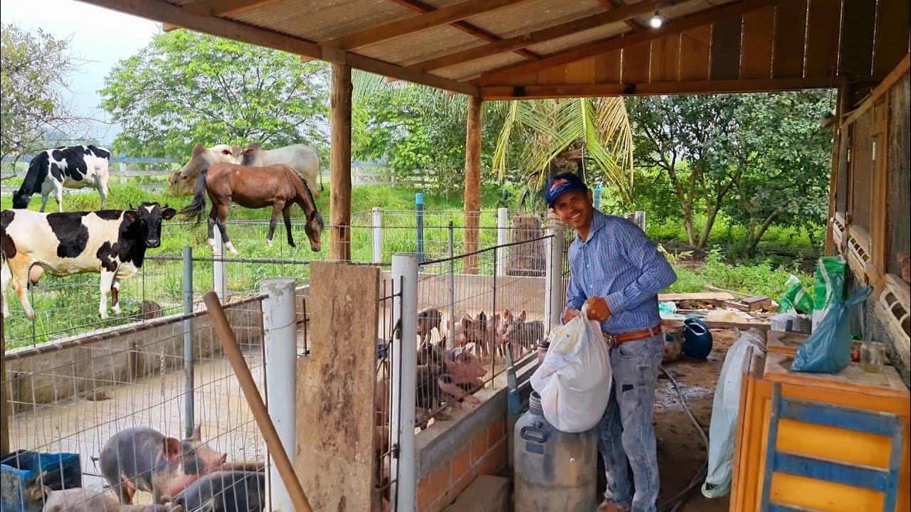 Com muito Animais e plantas este sítio mais parece um paraíso, Aqui ele cria porcos galinhas,peixes