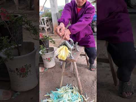 هذه الأداة سحرية تنجز المهمة بدفعة واحدة