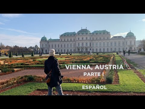Video: Dónde alojarse en Viena: mejores áreas y hoteles