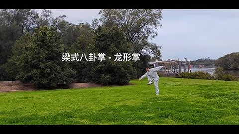Liang Style Baguazhang – Dragon Form Palm / 梁式八卦掌 - 龙形掌