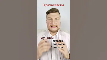 Хромопласты. ЕГЭ Биология. ЕГЭ 2022.