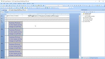 Display PDF Pages in a Crystal Report