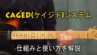 CAGED(ケイジド)システムをわかりやすく解説 【仕組みと使い方】