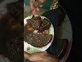 tech Bangla vlogs #trending #amazing #cakes #cake #food