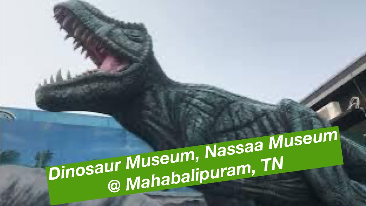 Dinosaurs Park Nassaa Museum Dinosaurs Museum At Mahabalipuram dinosaurs-park-nassaa-museum-dinosaurs-museum-at-mahabalipuram