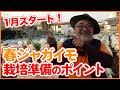 家庭菜園で大人気！春ジャガイモ栽培！畑や農園で春ジャガイモの育て方を徹底解説！畝作り・土作り・堆肥の使い方などご紹介！【農園ライフ】
