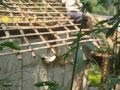 BLESSED KUNJACHAN-the first baptised family^s living place Whatsapp Status Video Download Free