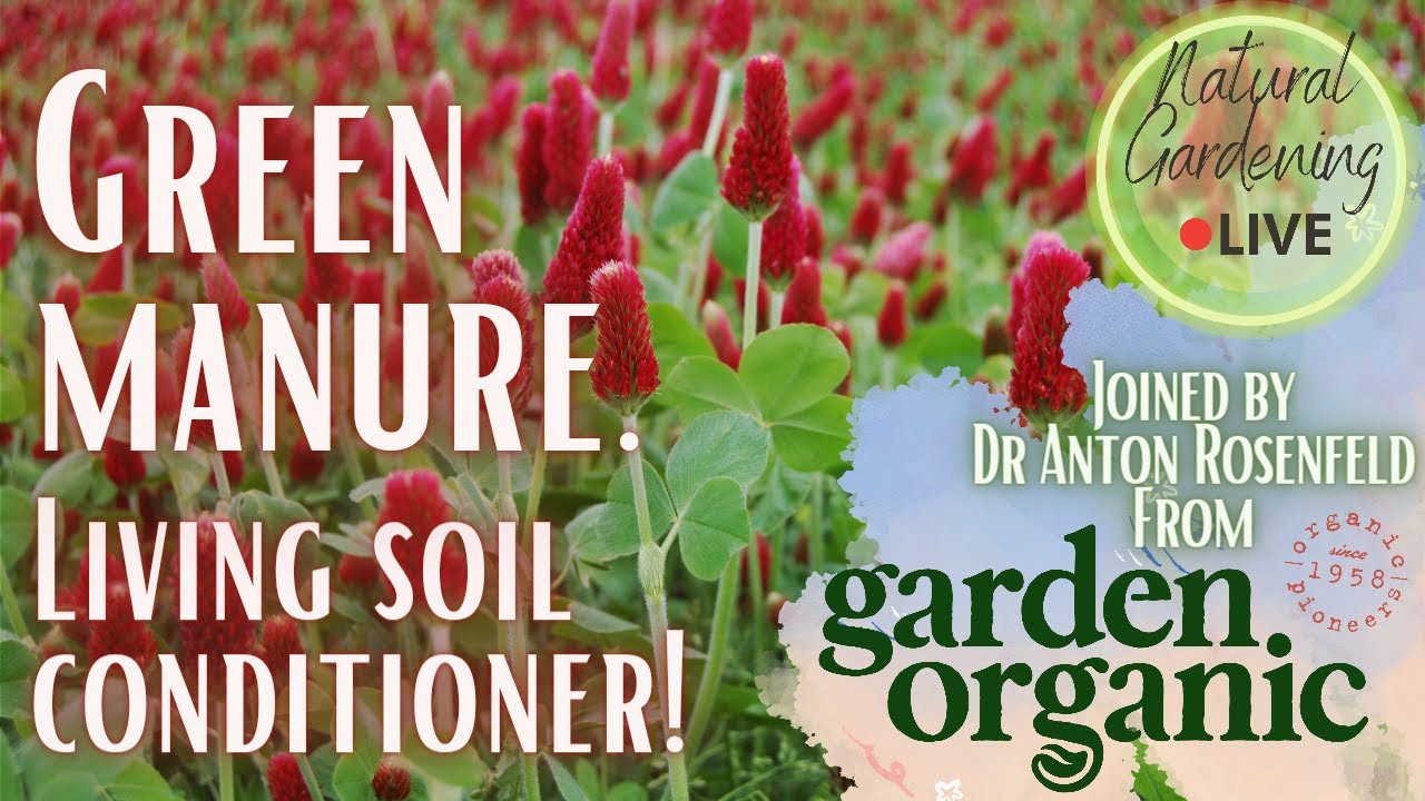 Green manure, how it can support your garden with Dr Anton Rosenfeld from  Garden Organic