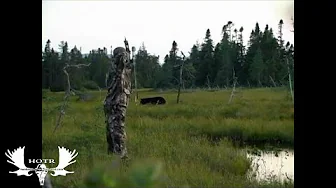 Archery Bear and Caribou Hunt In Newfoundland&Labrador