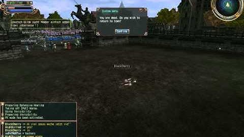 Last Chaos Generic Hacker