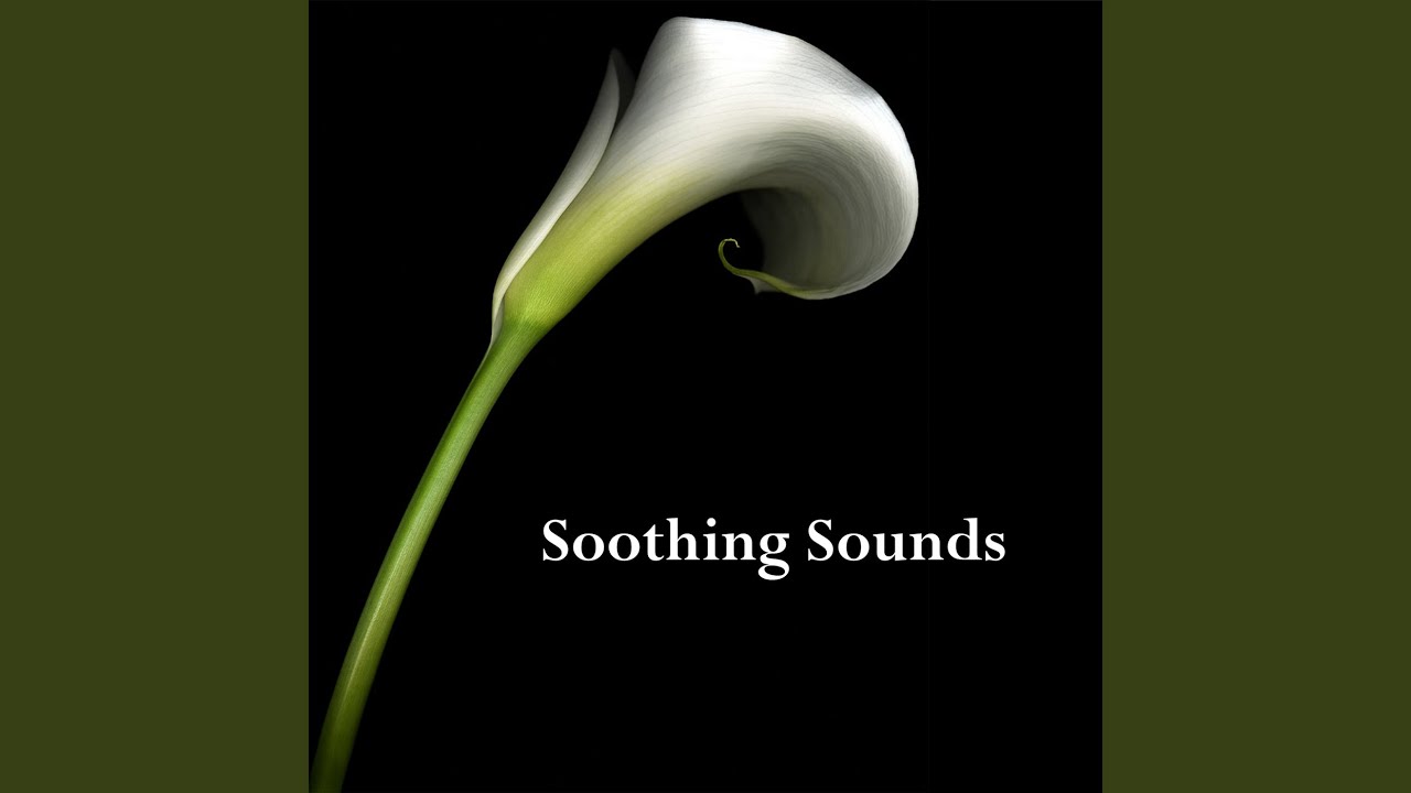 Watch Dramatic Downpours on YouTube Watch Dramatic Downpours on YouTube