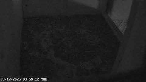 M3.0 Earthquake Germany CCTV & GlobalQuake Detection