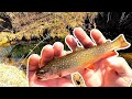 Spring Trout Fishing ~ New Stream Pays Off ~