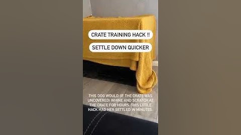 Crate Training Hack