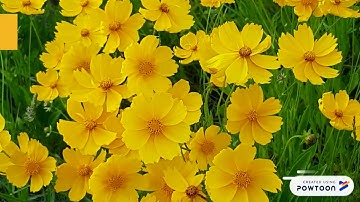 Introduction to Digital Communication