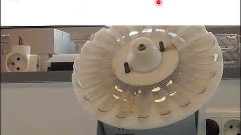 RNA Pull-down Procedure to Identify RNA Targets of a Long Non-coding RNA (Day 4)