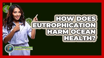 How Does Eutrophication Harm Ocean Health? - Earth Science Answers