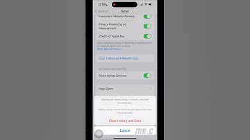 How to clear history and website data for Safari on iPhone? #shorts