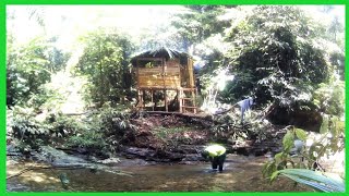 360 Dias de Supervivencia | Construir refujio, pesca, caza y cocina en la selva tropical. FULL VIDEO