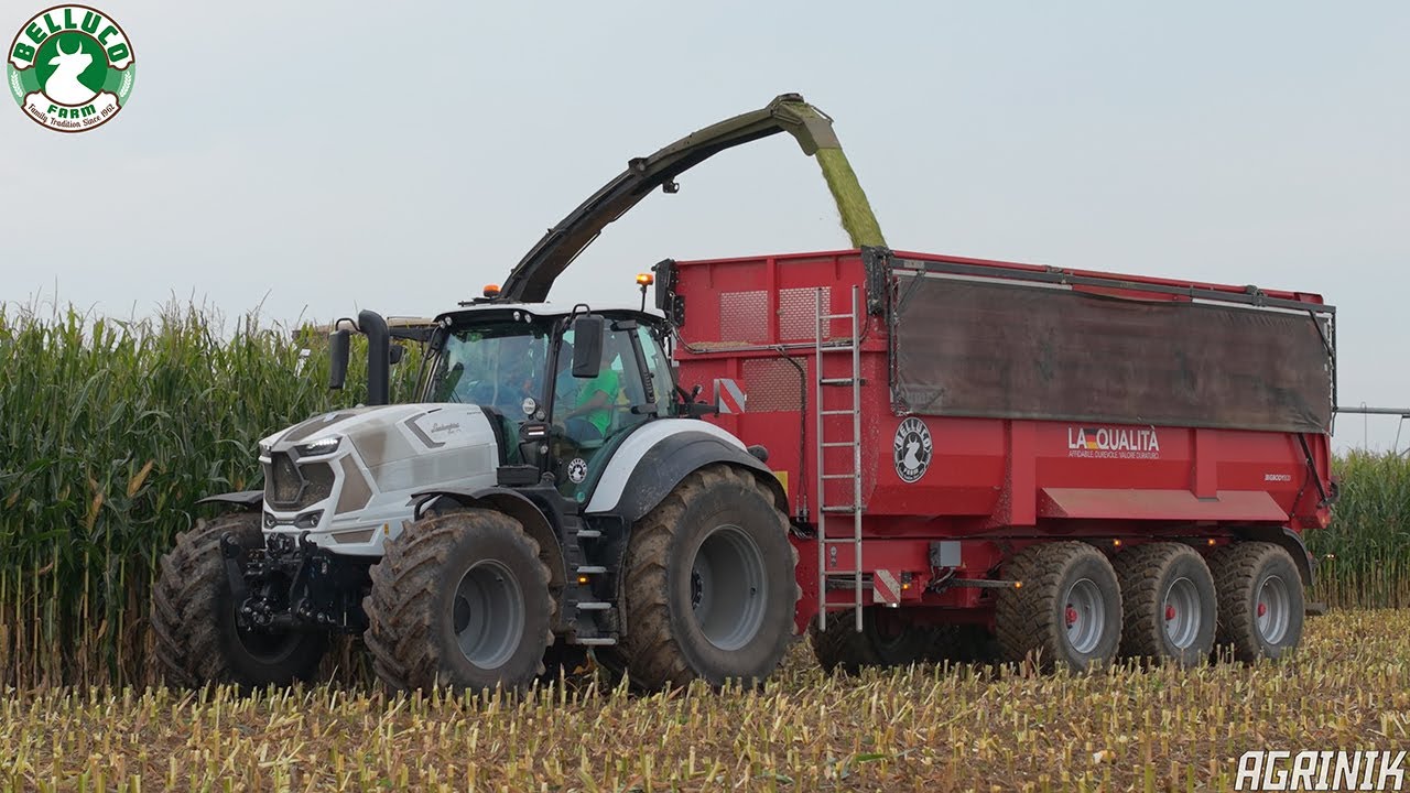 TRINCIATO MAIS XXL alla BELLUCO FARM con la FR920 e il nuovo dumper KRAMPE