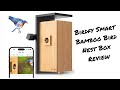 Birdfy Nest Smart Bamboo Bird Nest Box House With Two HD Cameras